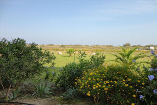  Appartement � vendre 3 pi�ces 48 m�