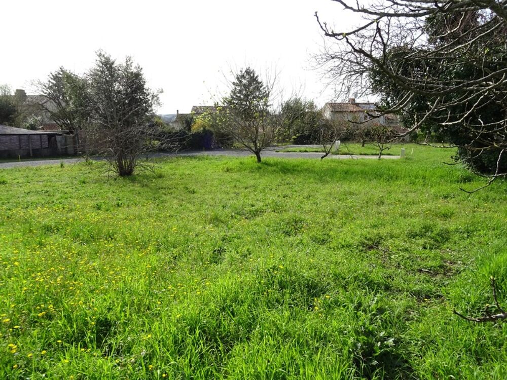 Vente Terrain Dpt Charente (16),  vendre SOYAUX terrain Soyaux