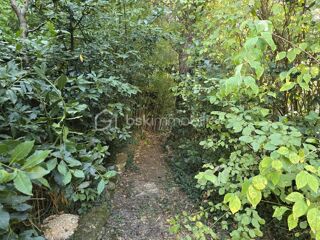  Immeuble � vendre 13 pi�ces 254 m�