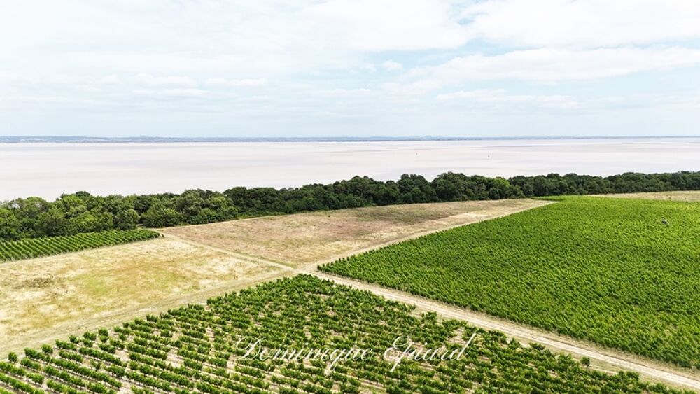 Exclusivité À VENDRE Vignoble Cru Bourgeois Médoc Vue exceptionnelle