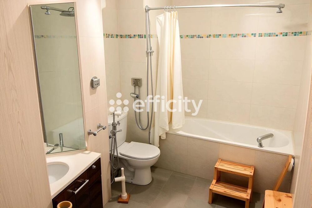 Vente Appartement Appartement Issy les moulineaux