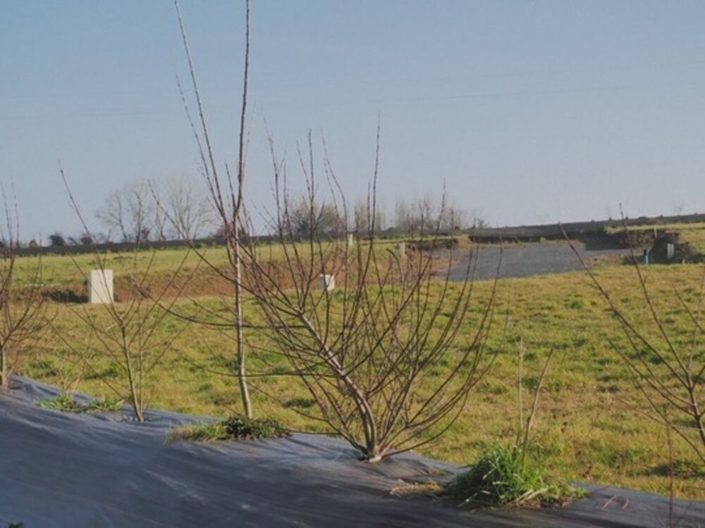 Vente Terrain Terrain à vendre de 727,00 m² BONNEMAISON (14) Aunay sur odon