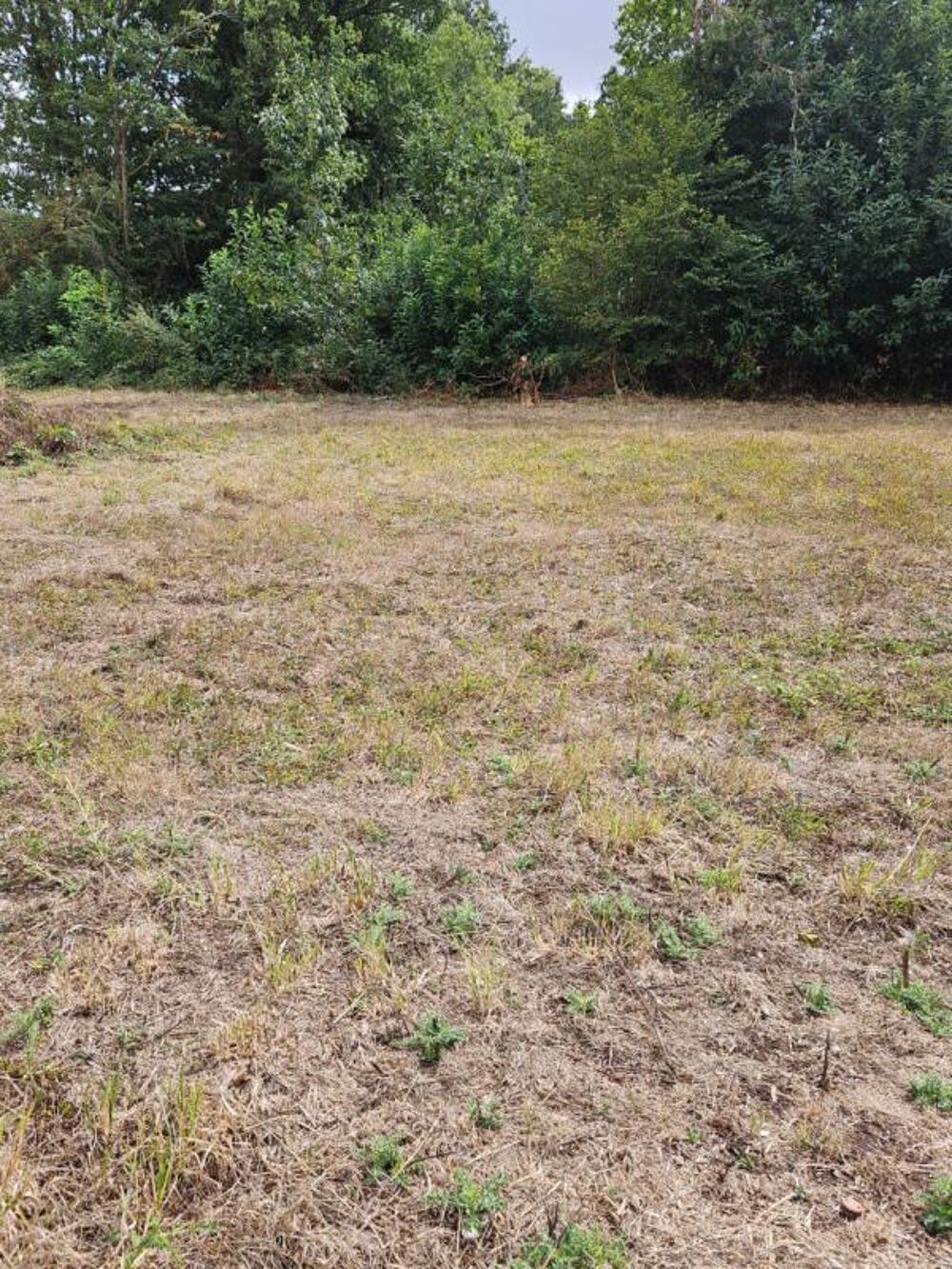 Vente Terrain Le Faouët à 6.4 km - Terrain à bâtir de 631 m2 viabilisé - Prix : 24.784 Le faouet