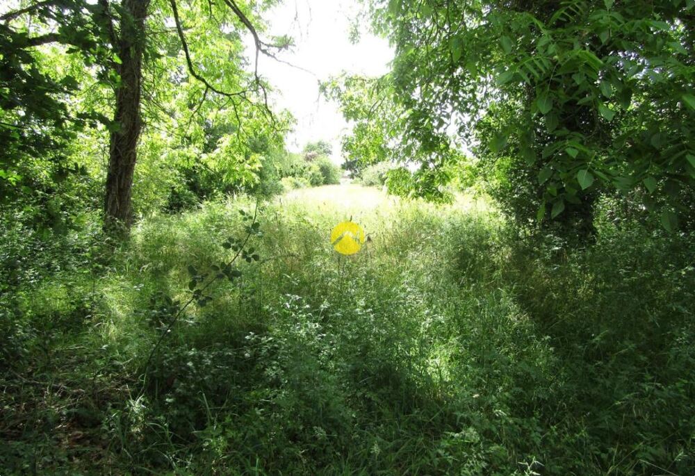 Vente Terrain Belle parcelle Faverolles sur cher