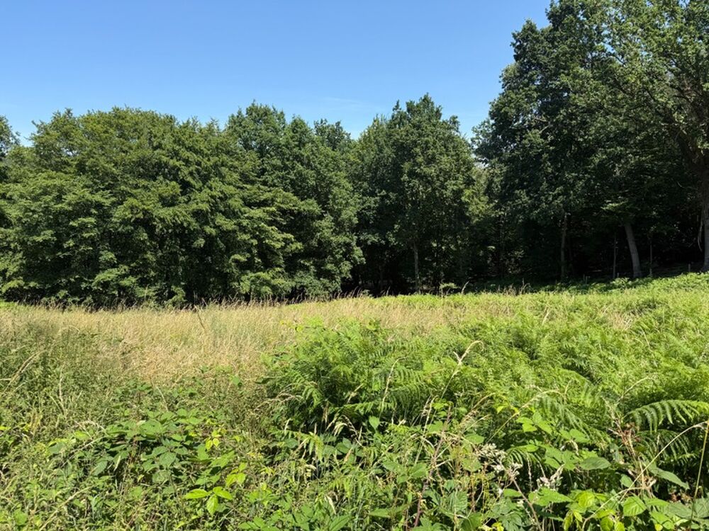 Vente Terrain Terrain à vendre de 3 250,00 m² SAINT MARTIN DU VIVIER (76) Saint martin du vivier