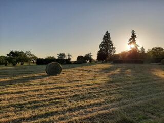  Terrain  vendre 1349 m