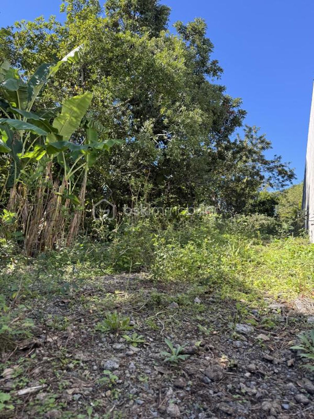Vente Terrain Un terrain d'exception dans un cadre privilégié ! Saint denis