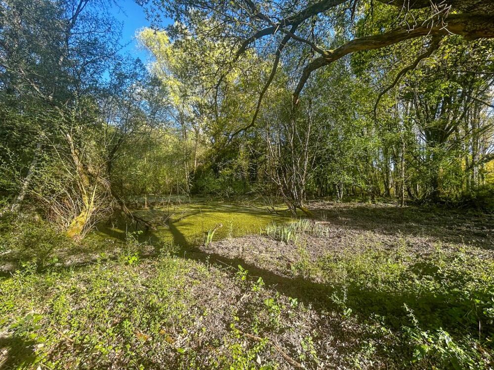Vente Terrain Terrain Villefranche Sur Cher 6804 m2 Villefranche sur cher