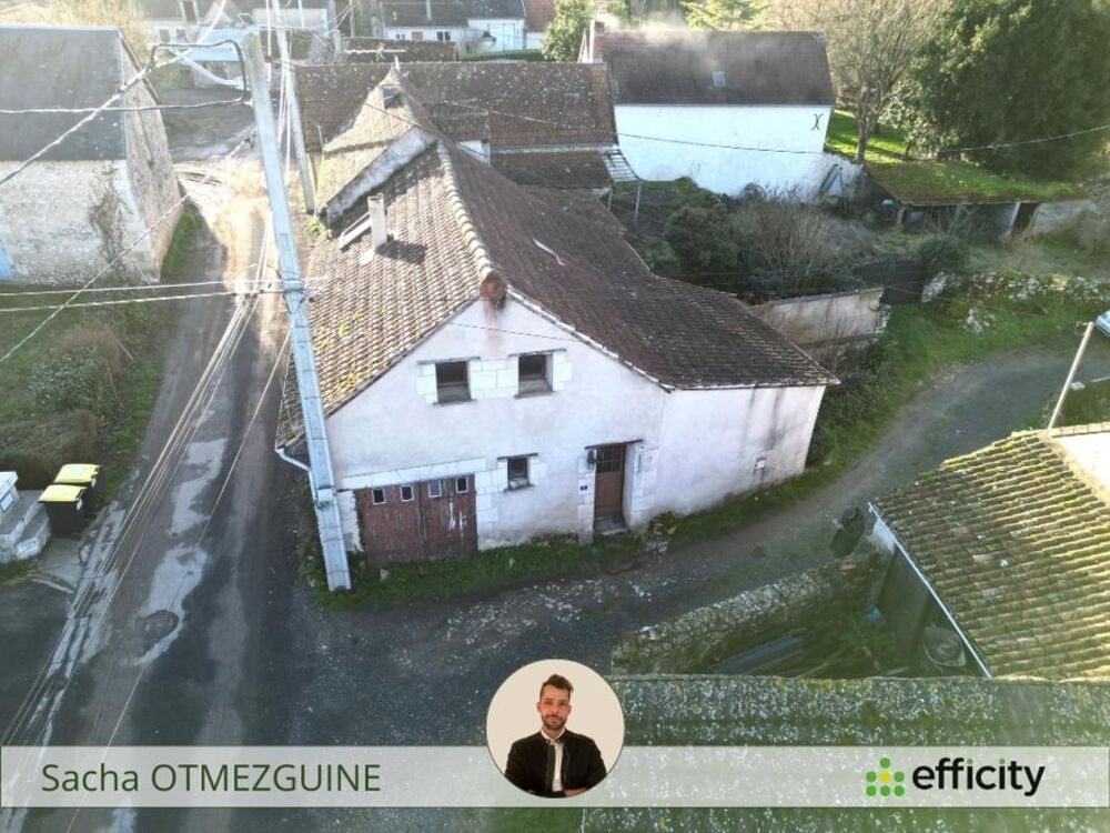 Vente Maison Maison Pleumartin