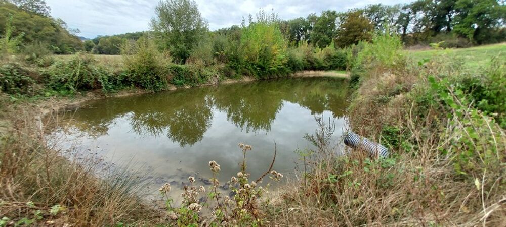 Vente Terrain Dpt Gers (32), à vendre GIMBREDE Terrain de loisirs à la campagne avec lac privé – Idéal pour la détente en pleine nature Gimbrede