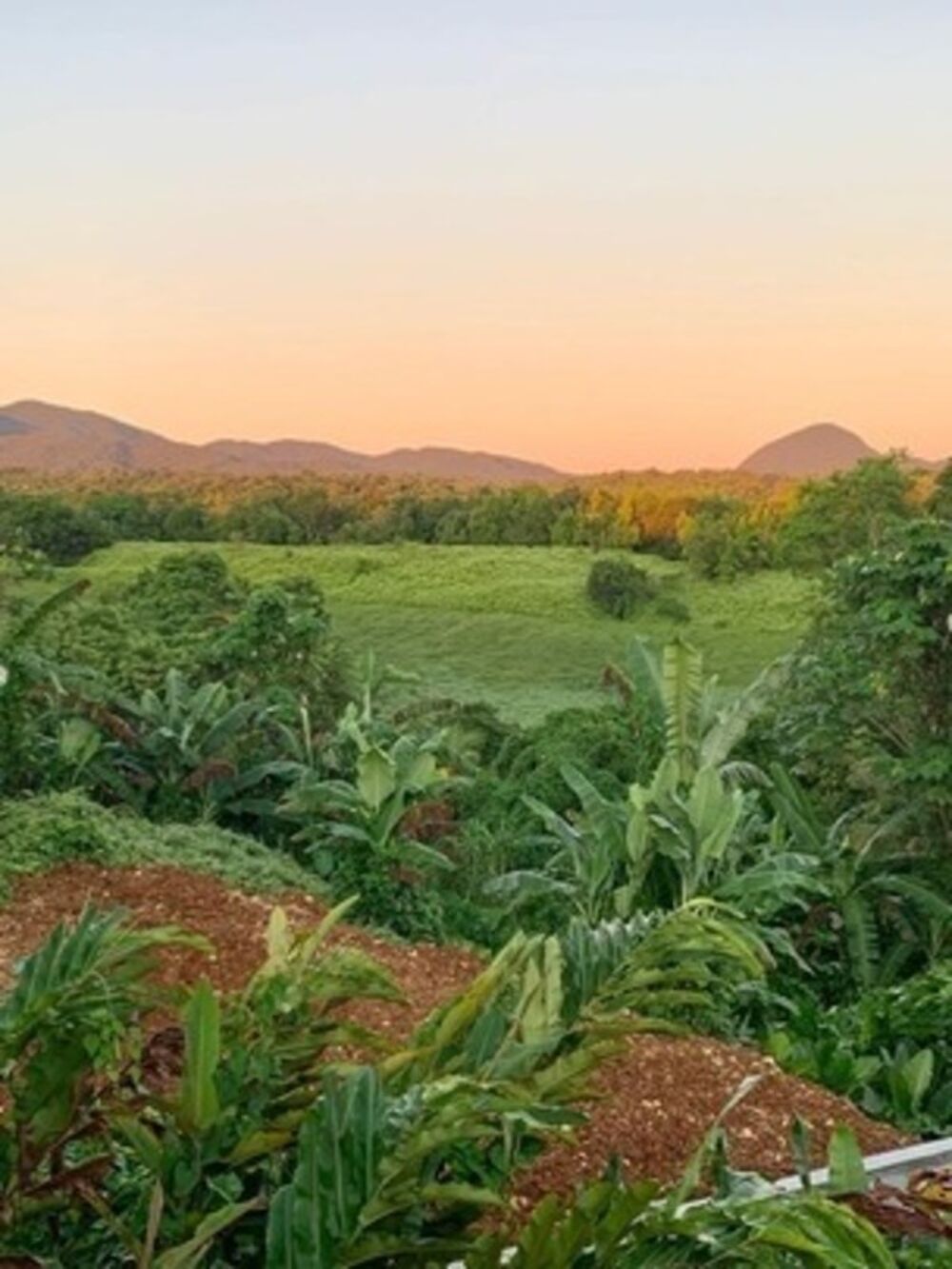 � vendre  Villa Petit-Bourg (97170)