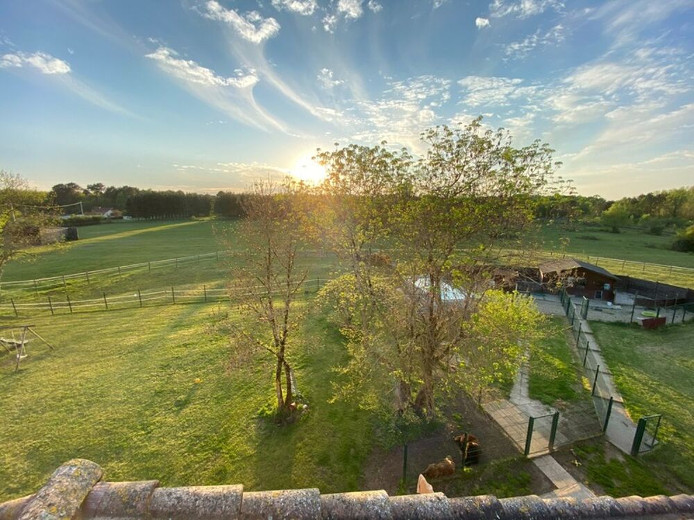 Vente Maison Magnifique propriété - Habitation de 456m² et Hangar de 360m2 à SAINT CHRISTOLY DE BLAYE (33) Saint christoly de blaye