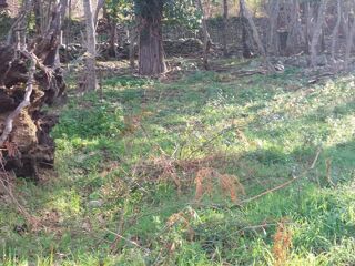  Terrain � vendre 1361 m�