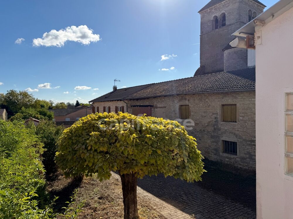 Vente Maison Maison ancienne en pierre de 117 m² avec vastes combles et grange en pierre Sance