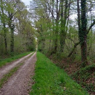  Terrain � vendre 464000 m�