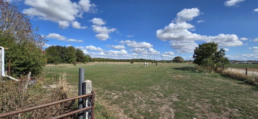 Vente Remise/Grange ENSEMBLE IMMOBILIER À FORT POTENTIEL – HANGAR AGRICOLE, STOCKAGE, BOXES À CHEVAUX ET MAISON – ENVIRON 5 000 m² DE TERRAIN Amiens