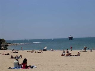  Appartement � louer 2 pi�ces 35 m�