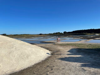  Maison � vendre 7 pi�ces 181 m�