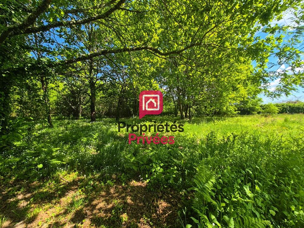 Vente Terrain Ensemble foncier 14 321 m2 - 2 Terrains constructibles + bois attenant Bazas
