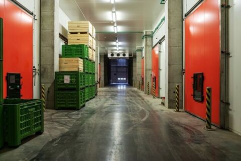 terrain 2000m&sup2; et local 400m&sup2;  entre Vienne et Saint quentin(38) 348740 38780 Septeme