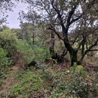  Terrain � vendre 2032 m�