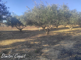  Terrain � vendre 3300 m�