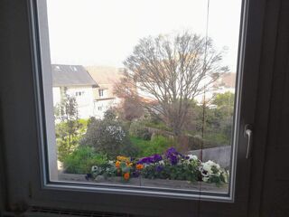  Appartement à louer 1 pièce 32 m²