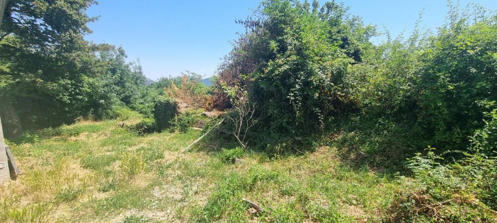 Maison Saint Martin Sur Lavezon 6 pièce(s) 156 m2