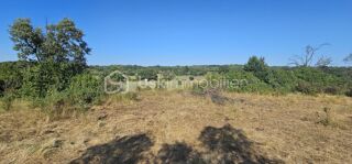  Terrain à vendre 15401 m²