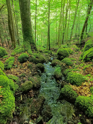  Maison  vendre 5 pices 95 m