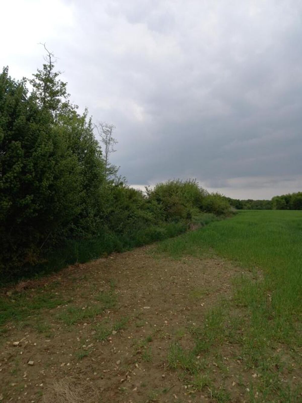 Vente Terrain Terrain à vendre de 2 924,00 m² Proche de Courtenay (45320) Courtemaux