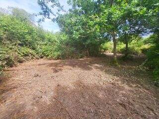  Terrain à vendre 14090 m²