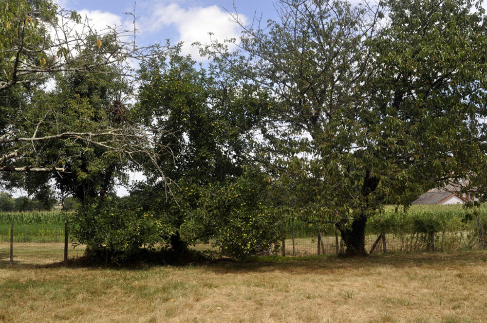 Belle ferme en pierre de taille avec beaucoup de cachet à L'ABERGEMENT DE CUISERY (71)