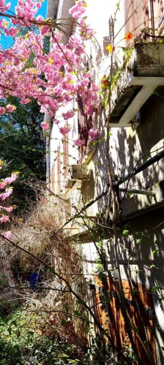  Maison � vendre 8 pi�ces 210 m�