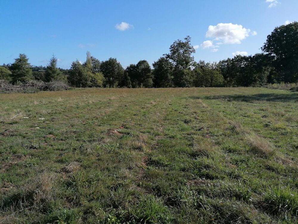 Vente Terrain Ploërmel . Terrain exceptionnel de 4 000 m² avec 700 m² constructibles Ploermel