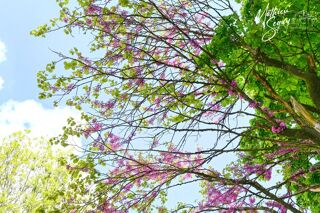  Appartement  vendre 3 pices 63 m