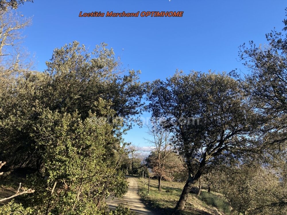  vendre  Maison Prades (66500)