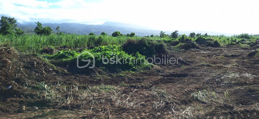 Vente Terrain Terrain viabilisé – 251 m² – Prêt à bâtir – Tout à l'égout Bras panon