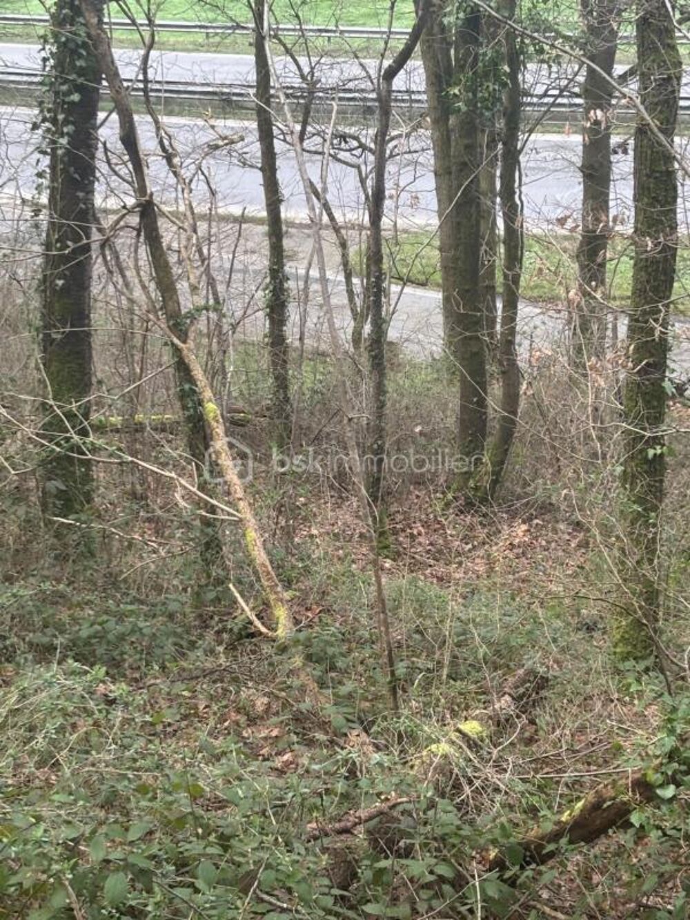 Vente Terrain ET SI VOUS POSSÉDIEZ 2,48 HECTARES DE FORÊT EN SUISSE NORMANDE ? Esson