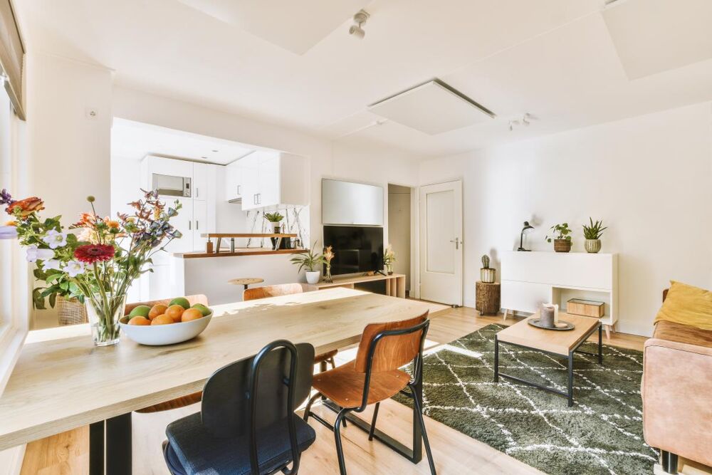 Vente Appartement T2 de 44m2 France