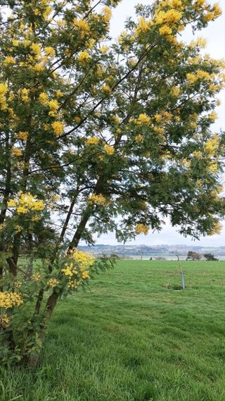  Maison � louer 5 pi�ces 73 m�