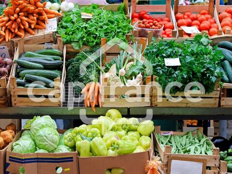 Dpt Pas de Calais (62), à vendre Région de béthune Fonds de Commerce de détail en Fruits et légumes 286000 62400 Bethune