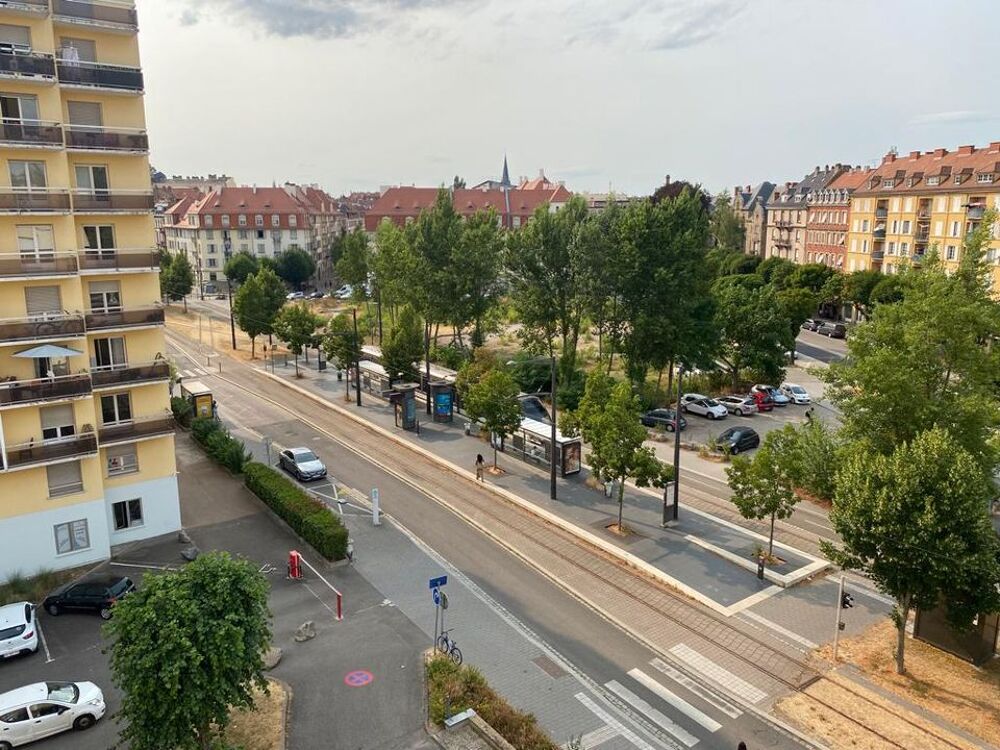 Location Appartement Chambre de 15m2 à louer sur Strasbourg Strasbourg