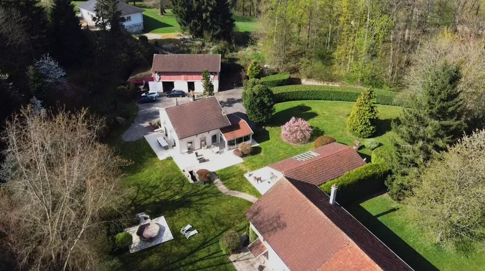 Vente Propriété/Château Magnifique propriété arborée au coeur d'Epinal Epinal