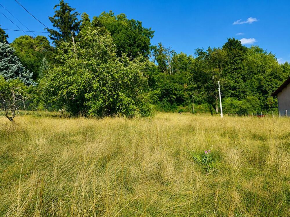 Vente Terrain Terrain Gillonnay 888 m2 Gillonnay