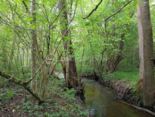  Terrain à vendre 8591 m²