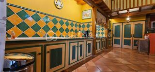  Propriété/château à vendre 11 pièces 410 m²
