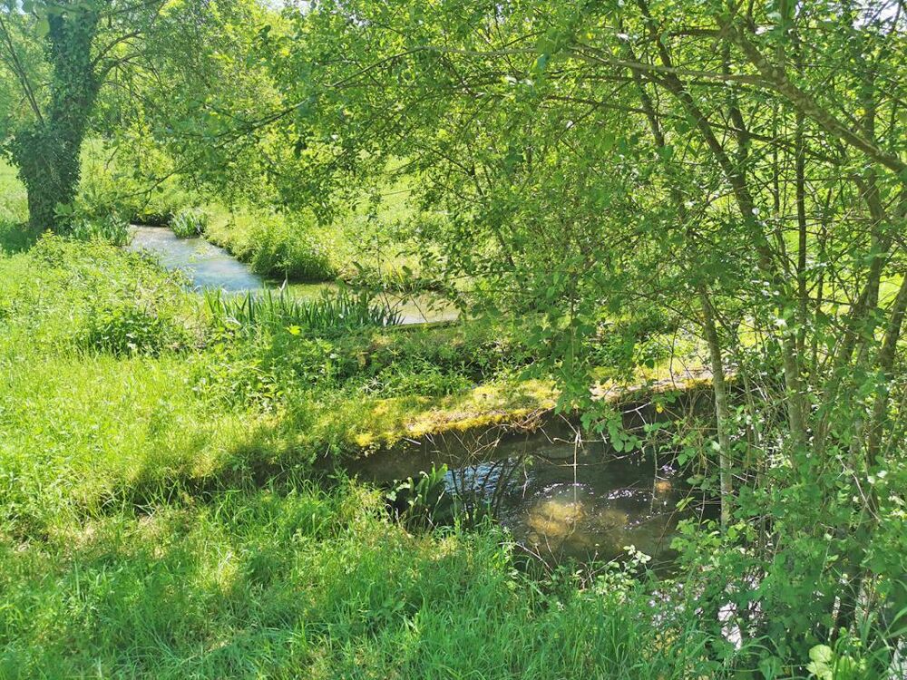 Vente Maison Propriété St Genies 5 pièce(s) 160 m2 Saint genies