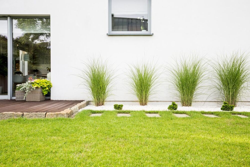 Vente Appartement **RETOUR A LA VENTE Hypercentre T4 avec TERRASSE + JARDIN + PARKINGS** Le chesnay rocquencourt