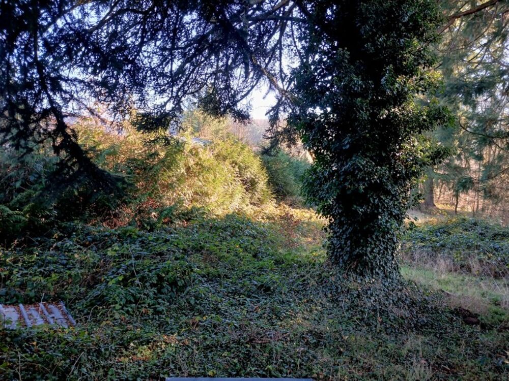 Vente Terrain Terrain à vendre  bellevue Thiers Thiers